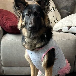 Meet your Posher, Cyndi